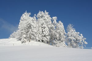 20071216 schnee in der mosseegg schwellbrunn
