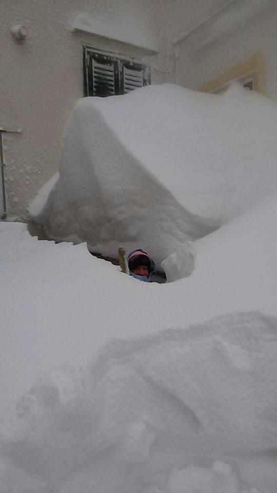 10988940 1542791492651048 4910688156046336954 n