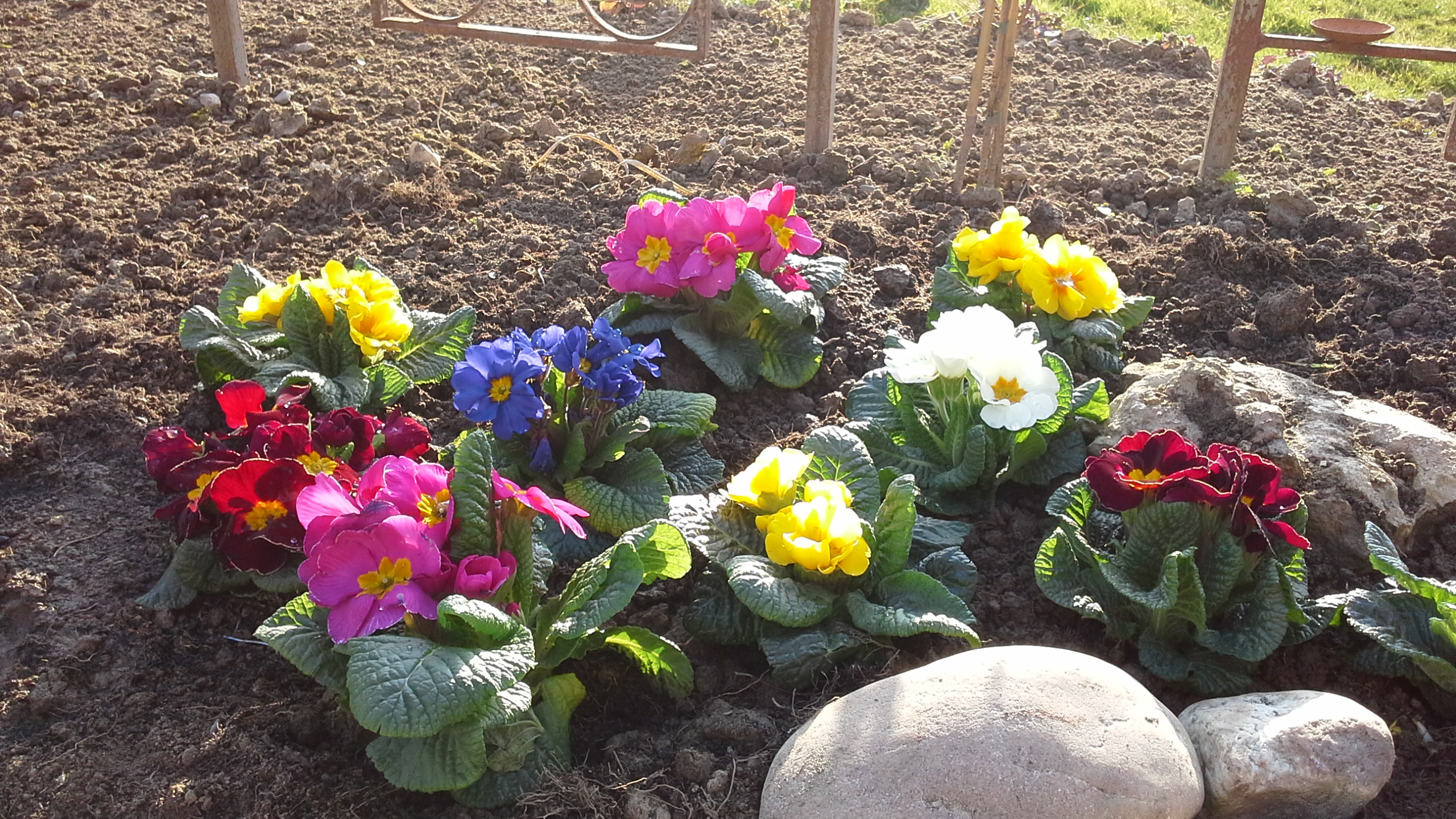 März 2014 sehr warm