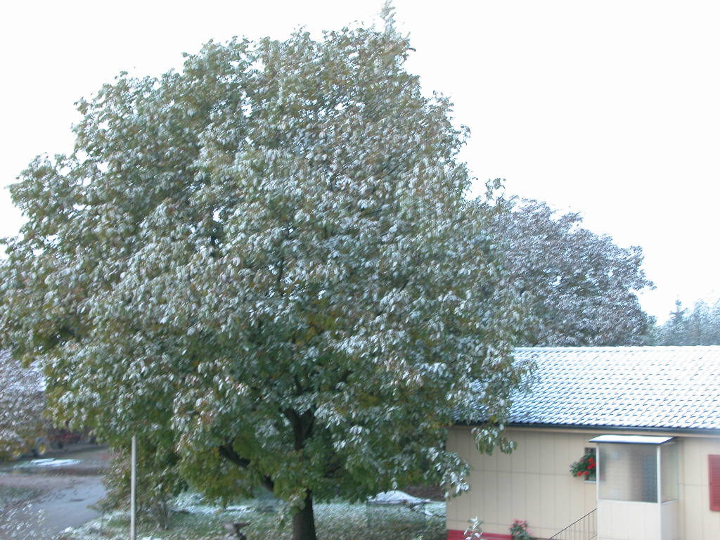 DSCN12252003 10 24 001