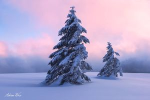 20171223 schweizer Jura im Schnee