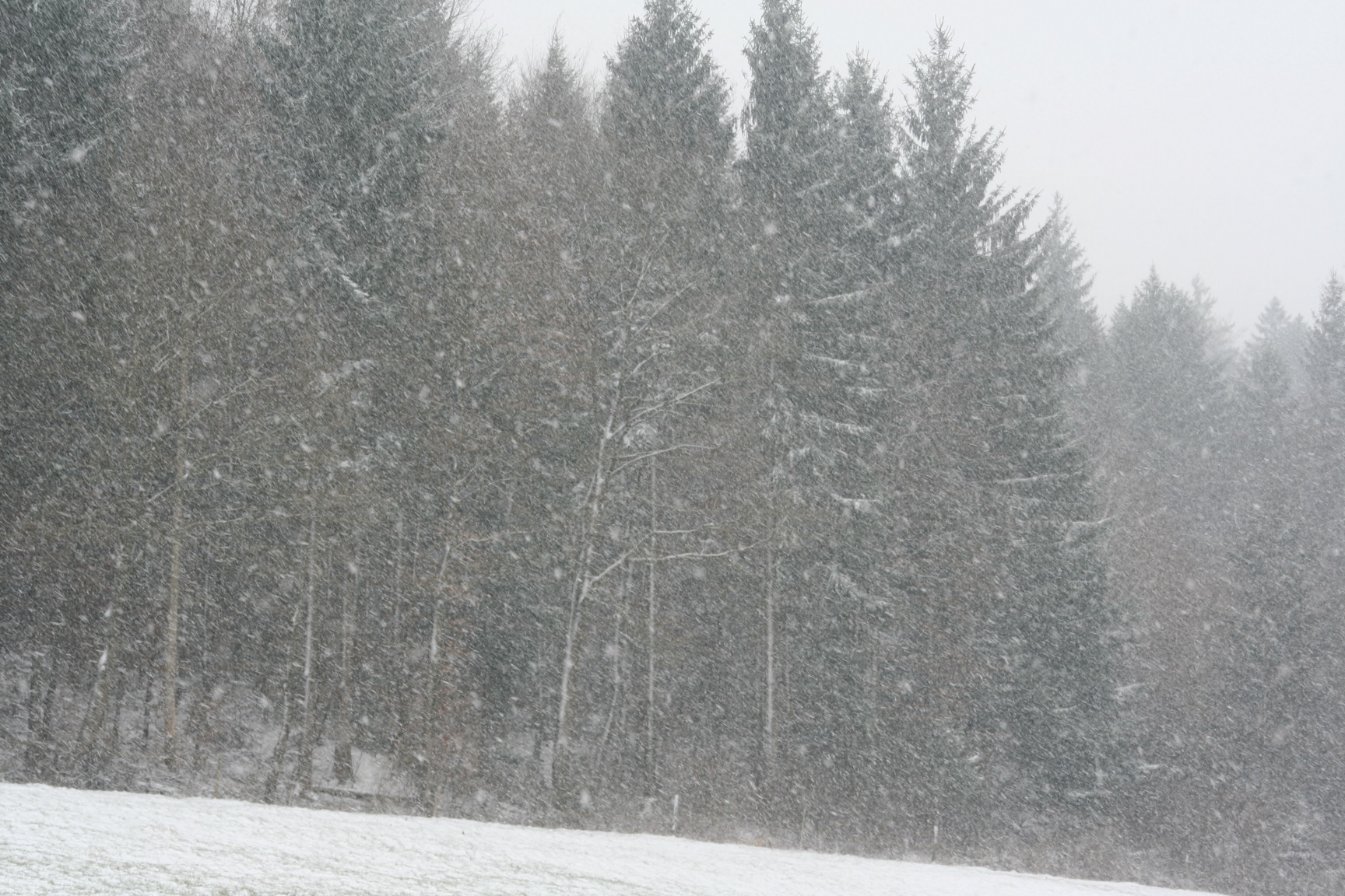 Frühling 2013 mit Schnee