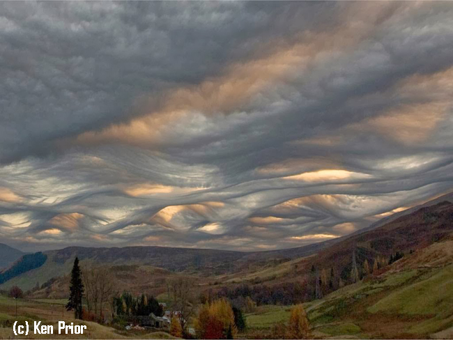 undulatus-asperatus